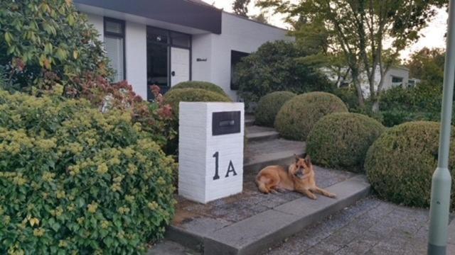 B&B Eikendreef Haelen Eksteriør billede